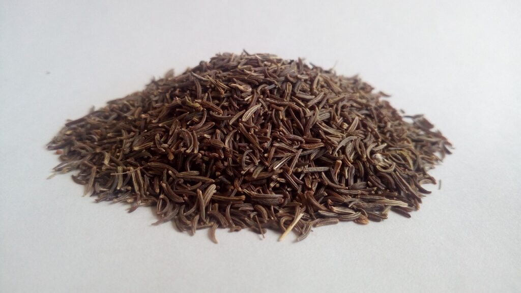 cumin, black cumin, herbs-5377181.jpg